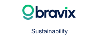 Bravix Sustainability consulting focus